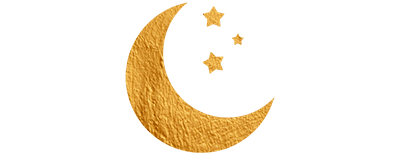 DOMAINE BOHEME  / LE GRAND PETIT PRINCE / SANTOLINA ETRUSCA